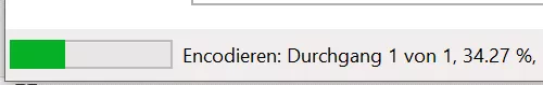 Screenshot der Software Handbrake. Der Fortschrittsbalken zeigt wie weit die Encodierung fortgeschritten ist.